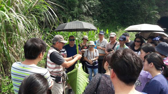 跟隨泰雅的智慧腳步,解讀自然與部落共生法則。