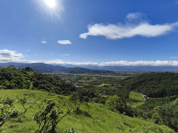 透過專業生態導覽深入認識自然環境。