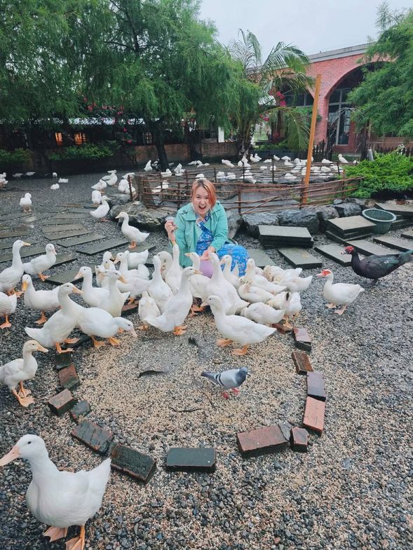 走進鴨寮故事館,親手撿拾新鮮鴨蛋,體驗在地養鴨文化的純樸樂趣。