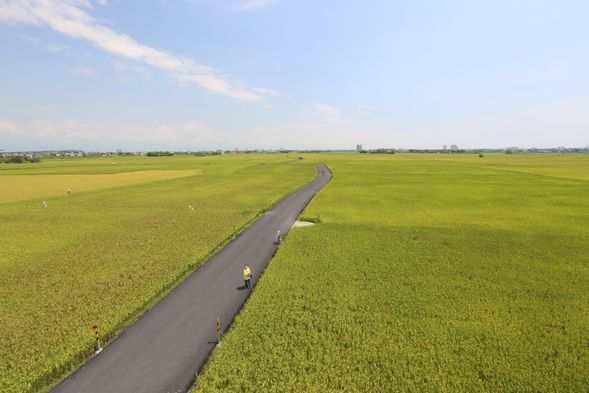 冬山伯朗大道(三奇美徑),以遼闊稻田、四季田園景致與蜿蜒小徑,呈現宜蘭最純粹的田園風光。
