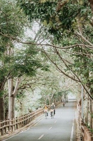 單車漫遊后豐鐵馬道