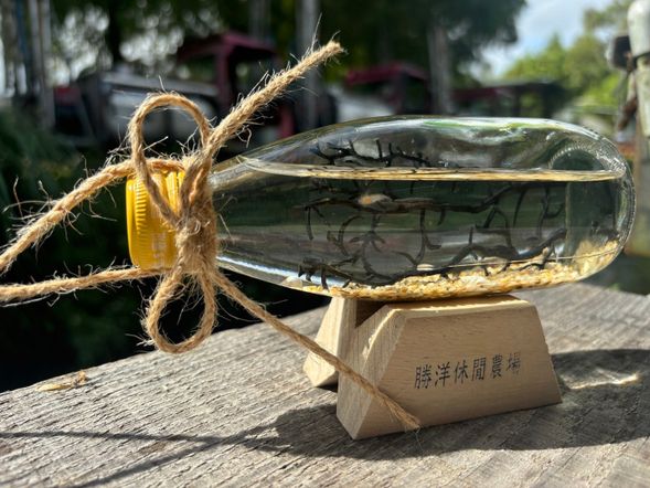 勝洋休閒農場生態瓶DIY