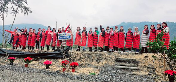 體驗泰雅文化熱情氛圍