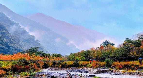 田塘如畫,生態如詩,漫步其中細品自然的韻味。