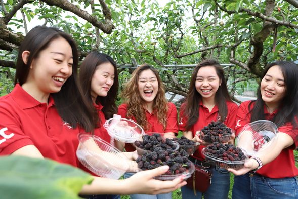 在阿蘭城手工醋坊,親手釀製果醋,把時間的味道帶回家。