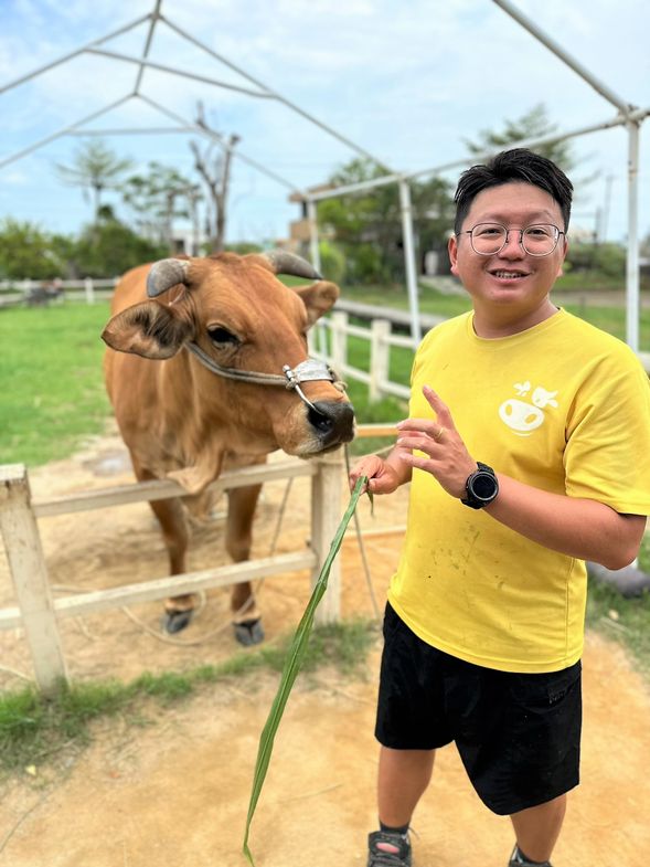 與牛互動體驗