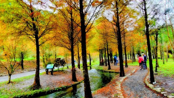 沿著林蔭步道走到望龍埤,欣賞湖光山色。