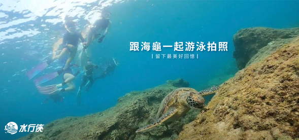 【海龜珊瑚礁生態探索】