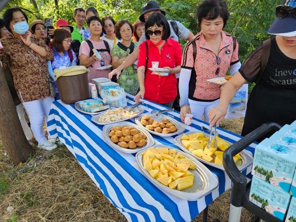 戶外漁塭下午茶