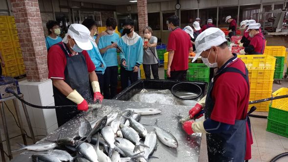 虱目魚加工廠