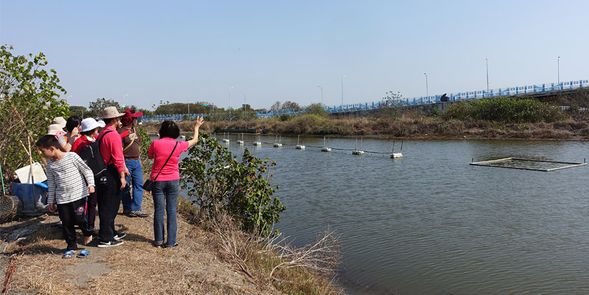 專人導覽解說虱目魚塭介紹