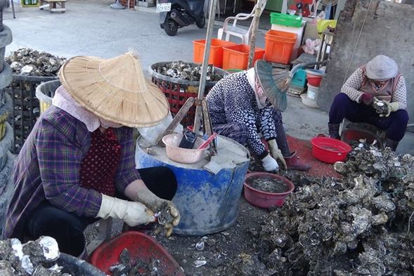 漁光島有正港青蚵丫嫂哦~