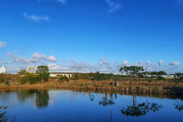 漁光島大橋視角