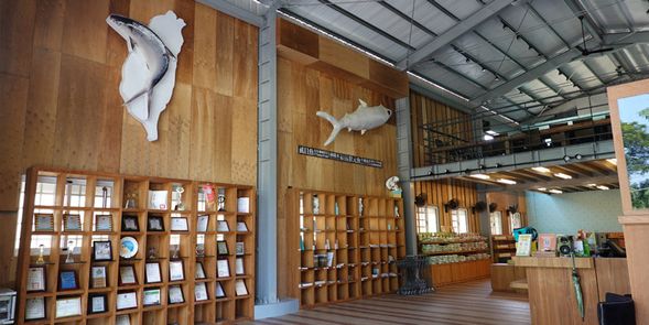 抵達漁光島/虱目魚主題館&虱目魚小簡介