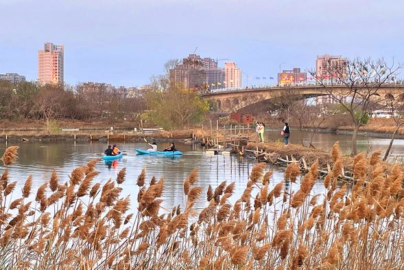 來趣漁光島前漁塭祕境