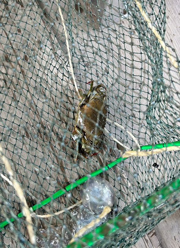 大員港遊船趣(解說導覽)