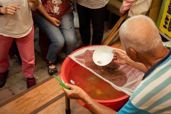 一起來唱數魚歌