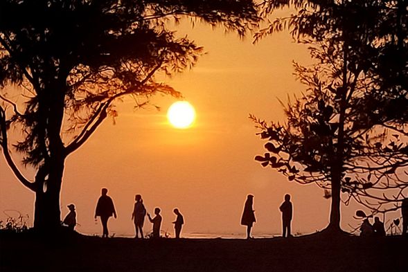 沿著漁光島的木棧道漫步木麻黃森林欣賞月牙灣迷人夕陽餘暉