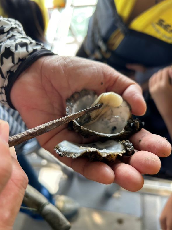 大員港遊船趣(解說導覽)