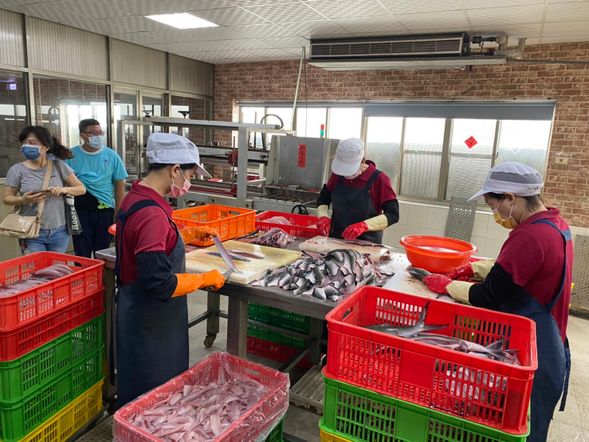 虱目魚加工廠