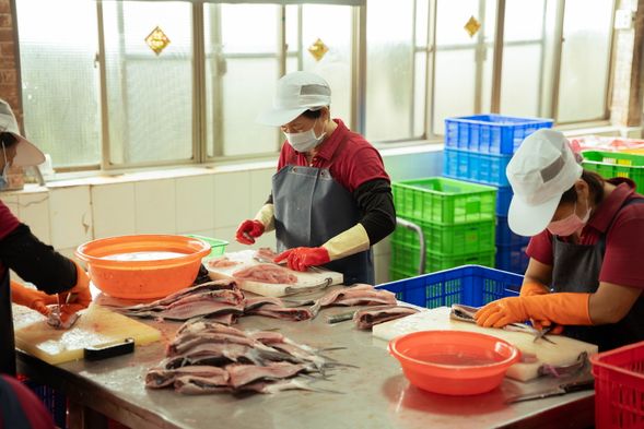 虱目魚加工廠 (實地走訪及專業老師的講解與透明化的製程過程)