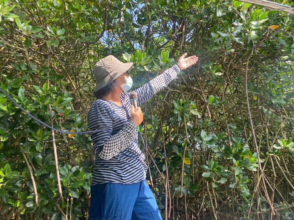 大員港遊船趣(解說導覽)