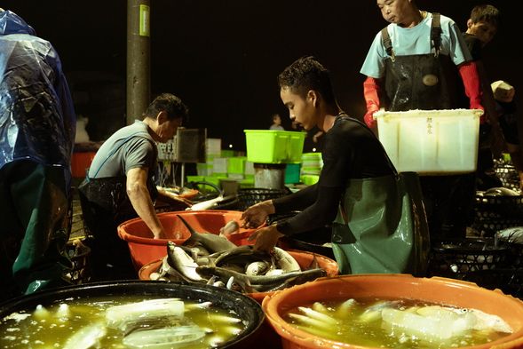 眠流跟晡流(虱目魚塭)