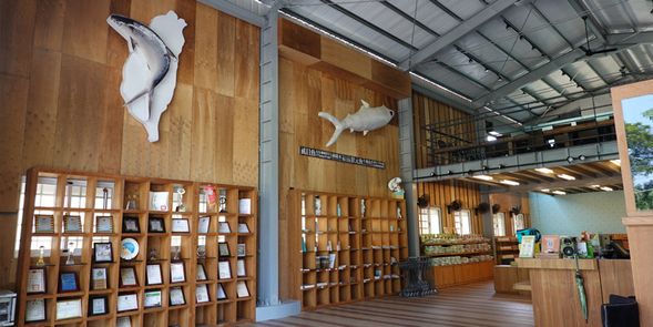 虱目魚主題館&虱目魚小簡介