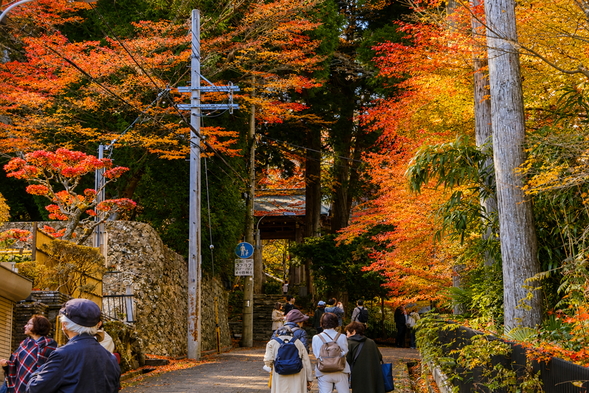 Arima Onsen|Spend an Autumn Night at One of Japan’s Three Great Hot Springs
For tonight, we recommend staying in Arima Onsen. Not only is it one of Japan’s Three Great Hot Springs, but in late autumn, the area is also surrounded by beautiful seasonal foliage.
After a full day of autumn sightseeing, take a leisurely stroll through the charming historic hot-spring town and enjoy Arima’s unique autumn atmosphere among its narrow lanes, old streets, and colorful leaves. In the evening, return to your ryokan and relax in a soothing hot spring, letting the day’s fatigue slowly melt away.