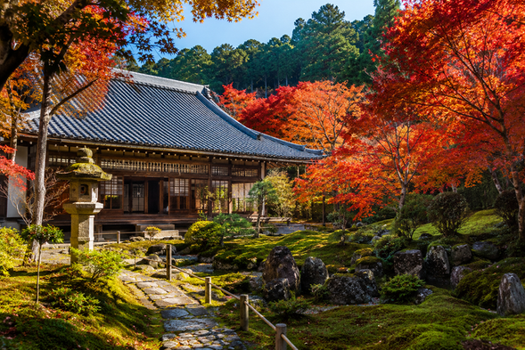 Step into an ancient temple nestled among the mountains and enjoy a leisurely walk surrounded by brilliant autumn foliage and traditional temple architecture. Compared with more crowded autumn foliage spots, this peaceful and timeless setting is perfect for slowly experiencing the atmosphere of a Japanese temple in autumn.