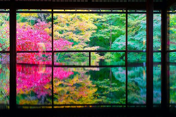 DAY 3|Ride the Eizan Railway Into the Hidden Autumn Beauty of Northern Kyoto 🍁
Take the Eizan Railway into the mountains of northern Kyoto and travel through the famous “Maple Tunnel.” Get off at Kibuneguchi Station, where your private vehicle will pick you up and continue to Rurikoin Temple to admire its iconic garden and stunning autumn reflections. Then visit the tranquil Rengeji Temple, Sekizan Zen-in Temple, and Manshuin Temple.