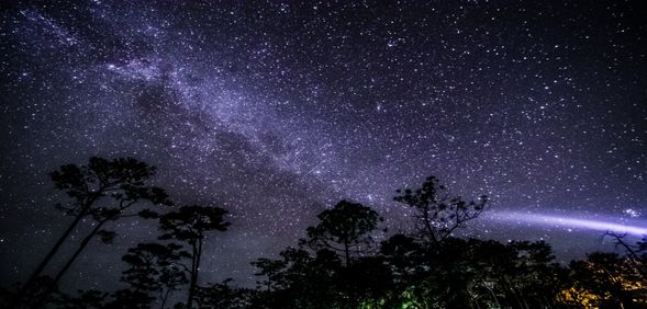前往山顶观景平台,观看星空,探索银河,寻找南十字星以及南半球星座。(最佳银河观赏时间为冬季,如遇阴天暴雨天气,该行程或会取消)