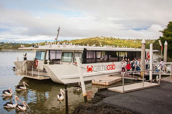 第一站:乘坐捉蟹游船,了解昆士兰特有泥蟹,体验并了解捉蟹,喂鸟,钓鱼,捉虾的乐趣。 (车上讲解,导游不陪同上船)