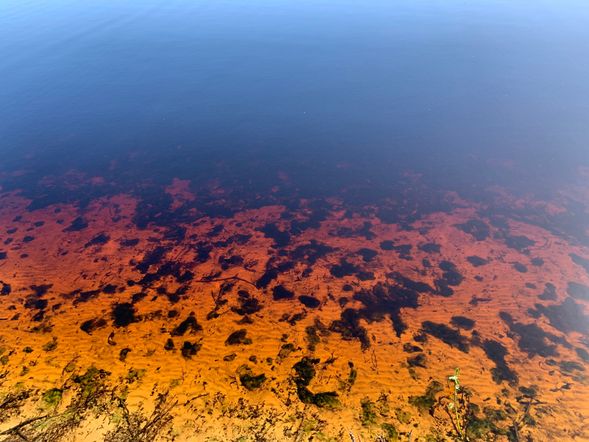 第二站:抵达血红湖,在阳光的照射下,湖水呈现出血红色。