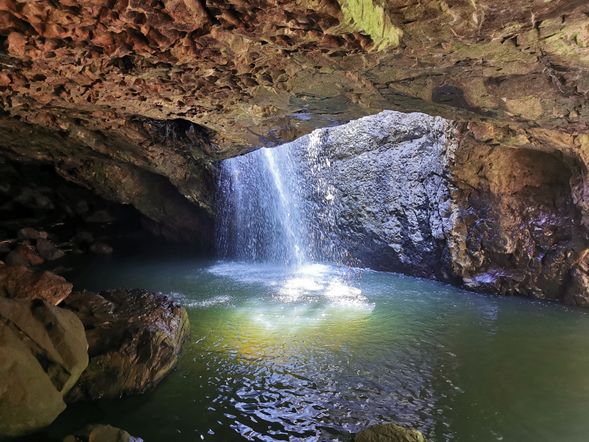 第三站:自然桥景区:澳大利亚冈瓦纳雨林的一部分,自然桥景区因水流冲蚀行程天然洞穴,形状类似桥梁,因此被称为自然桥。导游全程陪同讲解