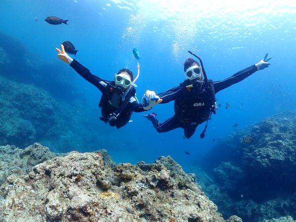 潛水活動(時間約30-40分)