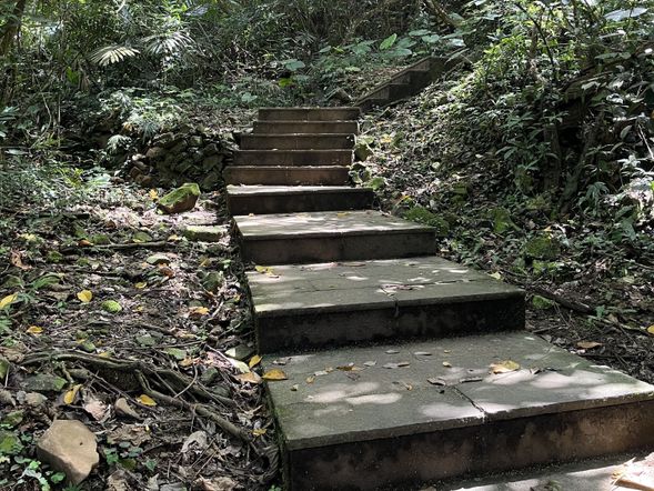 登上401高地的步道是由人工台階砌成的階梯,大部分為緩坡,1000階以上開始變得較為陡峭,稍微加油一點一下子就攻頂了