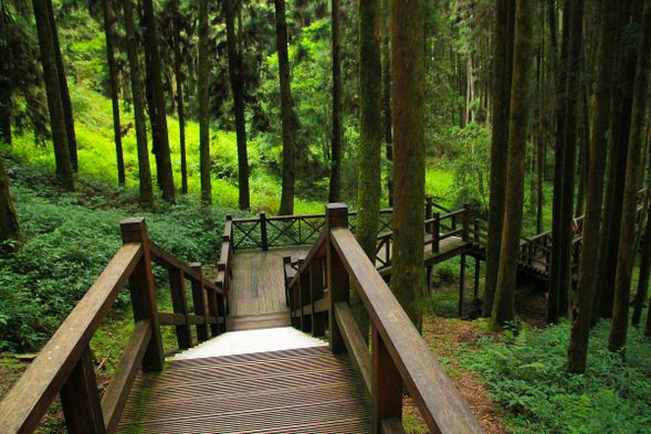 阿里山森林遊樂區