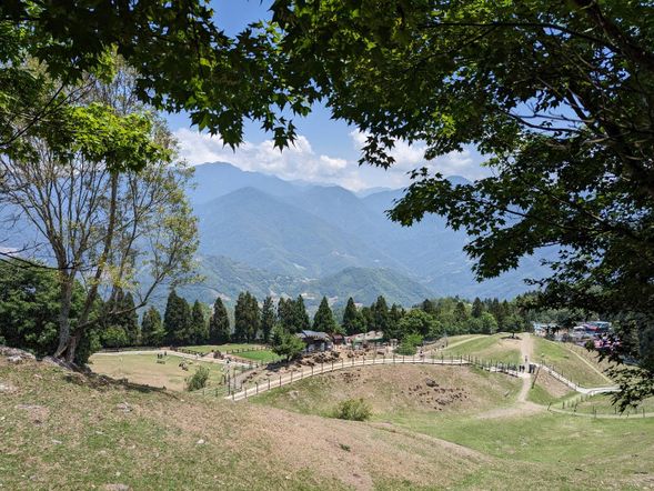 清境農場青青草原