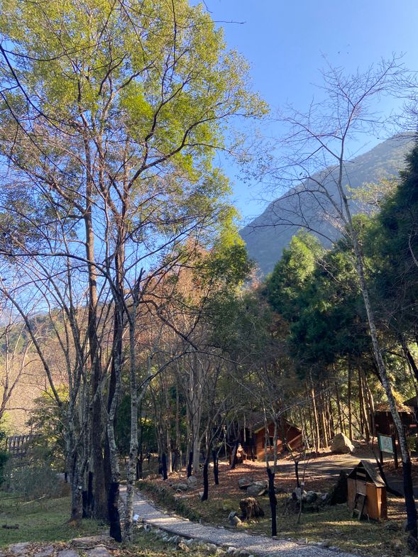 八仙山森林遊樂區