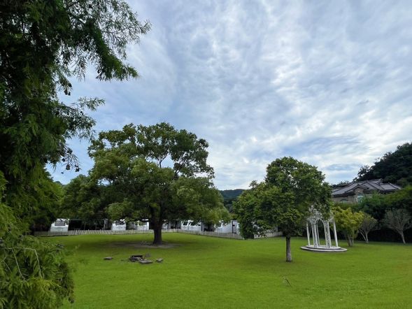 雲水森林
