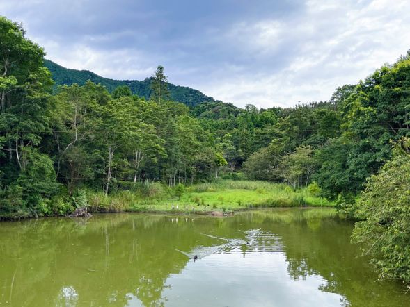向天湖