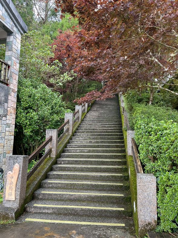 太平山國家森林遊樂區