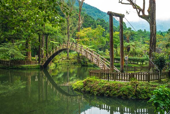 溪頭森林遊樂區