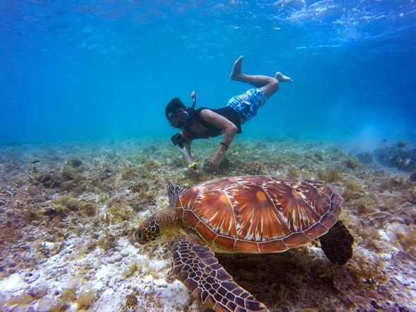 Second Snorkeling Session
Put on your snorkel and explore the mysteries of the ocean with sea turtles, experiencing the infinite charm of nature.