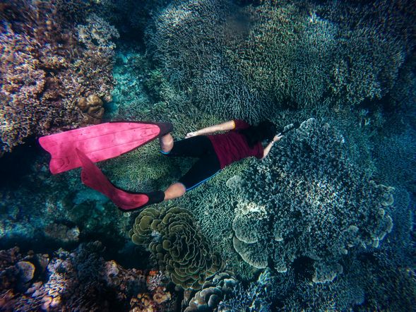 Second Snorkeling Session
Put on your snorkel and experience the infinite charm of the ocean.