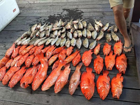 Customer's Fishing Results