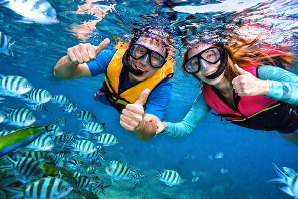snorkeling sessions
