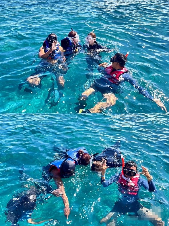 Swim with tropical fish