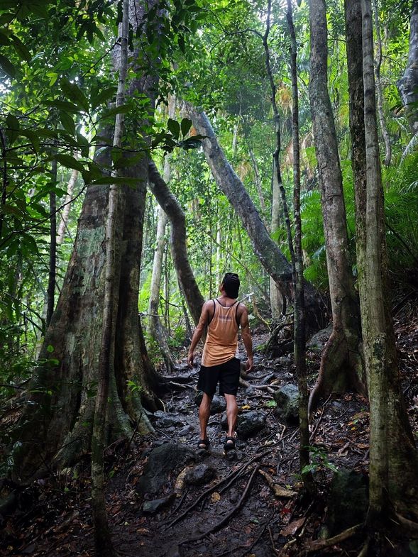 Embrace the Beauty of Nature